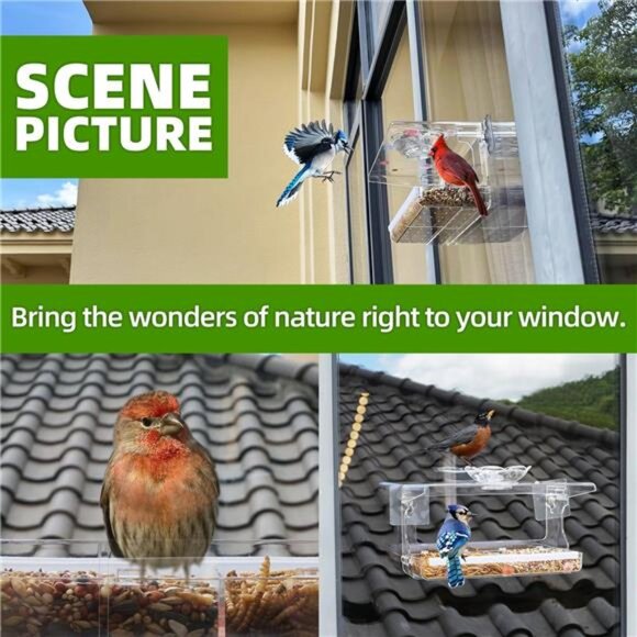 Window Bird Feeder with Non-Marking Self-Adhesive Hooks, Clear and Transparent - Picture 7 of 7